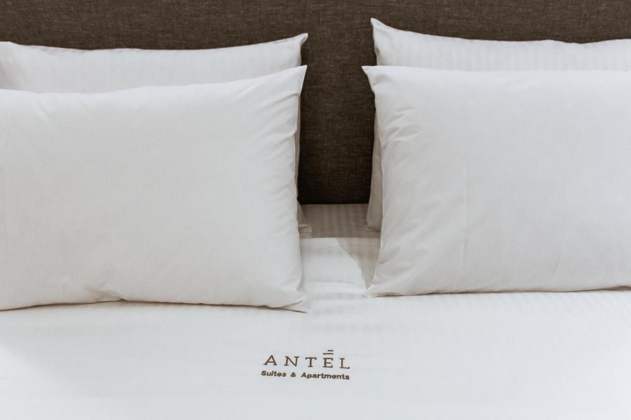 Appartement Antel & *
